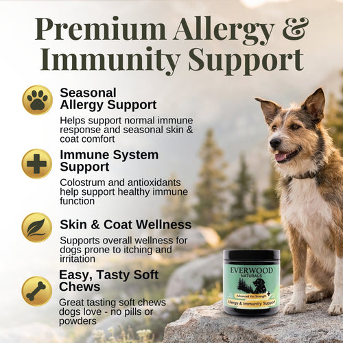 Allergy & Immunity Dog Supplement Chews
