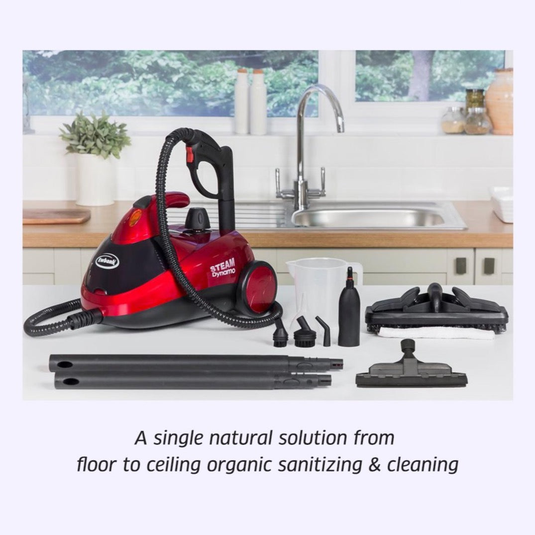 Ewbank SC1000 Steam Dynamo Multi-Tool Powerful Steam Cleaner
