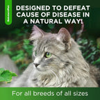 Natural Immune Support Drops for Cats, Chicken Flavor Liquid Supplement 2oz