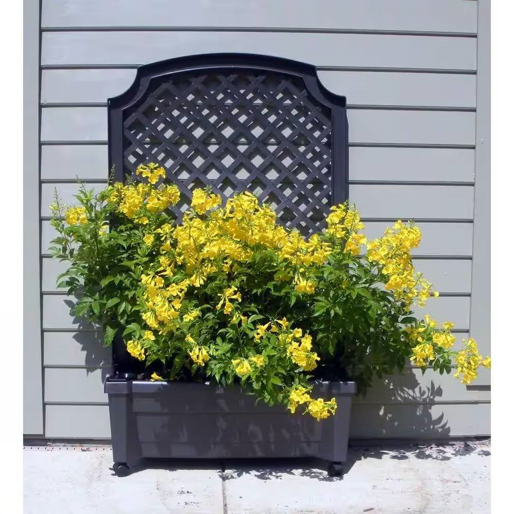 Outdoor Self-Watering Garden Planter