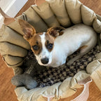Pet Travel Safety Car Seat