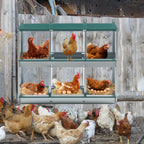 6-Room Metal Chicken Nesting Box – Galvanized Steel Hen Coop